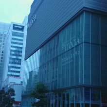 名称の由来はいかに