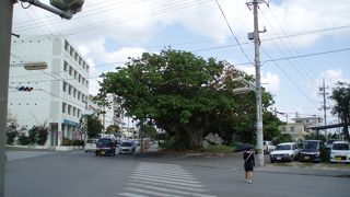 八重山民謡「とぅばらーま」のゆかりの地です