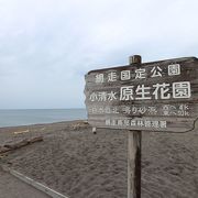 清水原生花園を散策すると小清水海岸で出ることができます。