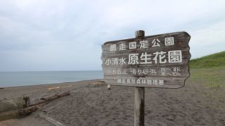 清水原生花園を散策すると小清水海岸で出ることができます。