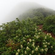 南側には「南面白山」、北側には「面白山」