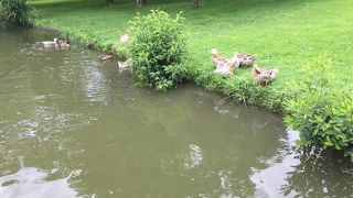 散策にぴったり