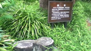 地質に関心のある方には興味深い