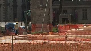 ネットで囲われていました