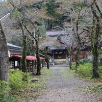近くに趣のある神社。朝の散歩で。