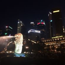 夜のマーライオン公園からの眺め