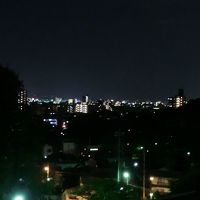 客室からの眺め(夜景)