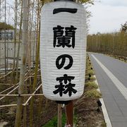 一蘭の工場見学