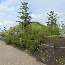 二子玉川公園の歩道です。
