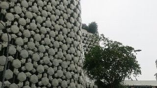 日本食の店が多い