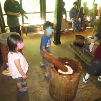 朝食後の餅つき