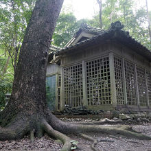 築山古墳主丘頂上部