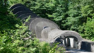 美しく神秘的、そしてユニークな形