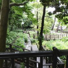 丸子川沿いに素敵な木道がありました。