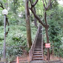 国分寺崖線は起伏に富んだ地形をしている。