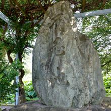 藤棚で覆われています