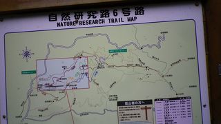 個性ある道が揃っています。