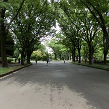 都立駒沢オリンピック公園