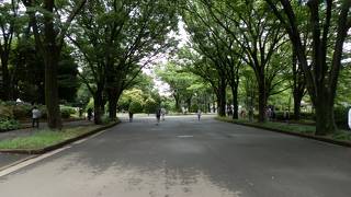 都立駒沢オリンピック公園