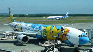 アクセスが良くて便利な空港です