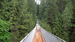 スリル満点の吊り橋