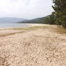 天橋立海水浴場で撮影