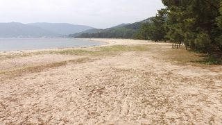 天橋立観光　(7)　天橋立海水浴場を散歩