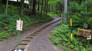 20分山道を歩くと視界が広がる