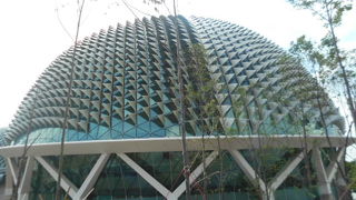 ドリアンドームの通称