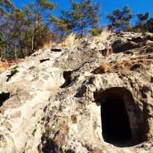 たくさんの穴が不思議です