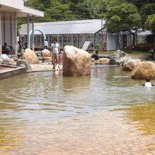 魚っ知館で撮影