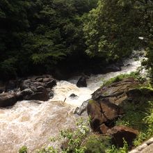 二瀬川渓流を撮影