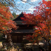 桜と紅葉の名所