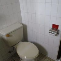 ウオッシュレットにしてほしいが・・・　紙が流せる勢い十分。