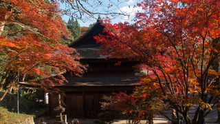 桜と紅葉の名所
