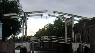 ゴッホの絵が浮かんできます