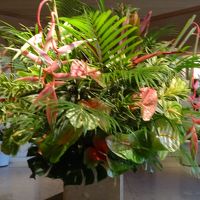 今日の出迎えの生け花は【これ】でした