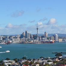 Mt　ヴィクトリアの頂上からの眺め