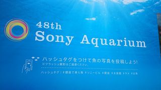 銀座：今年も～！銀座に沖縄の海が？うそっ？？