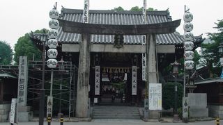 博多祇園山笠で盛り上がる神社。
