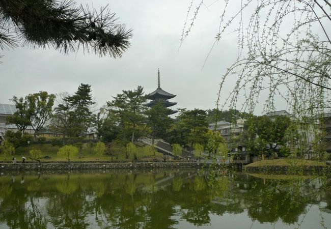 猿沢池。向こうに見えるのは興福寺五重の塔