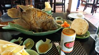 メコンレストストップ-名物エレファントフィッシュ