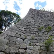 讃岐(さぬき)平野にある標高66mの亀山に築かれた日本百名城の一つです
