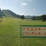 夏も楽しめる！