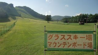 夏も楽しめる！