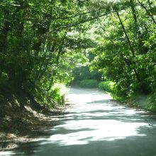 写真で見て・・・そうですね下り坂に見える？本当は登り道