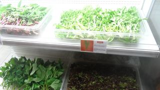 包み野菜を好きなだけ！