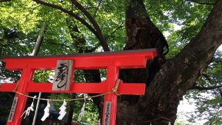 暑い日を涼しげに