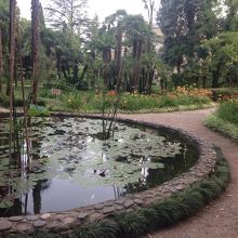 スフミ植物園