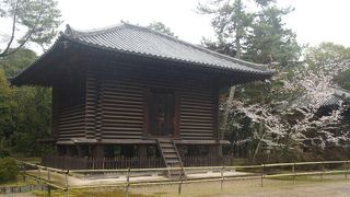 小さいですが…